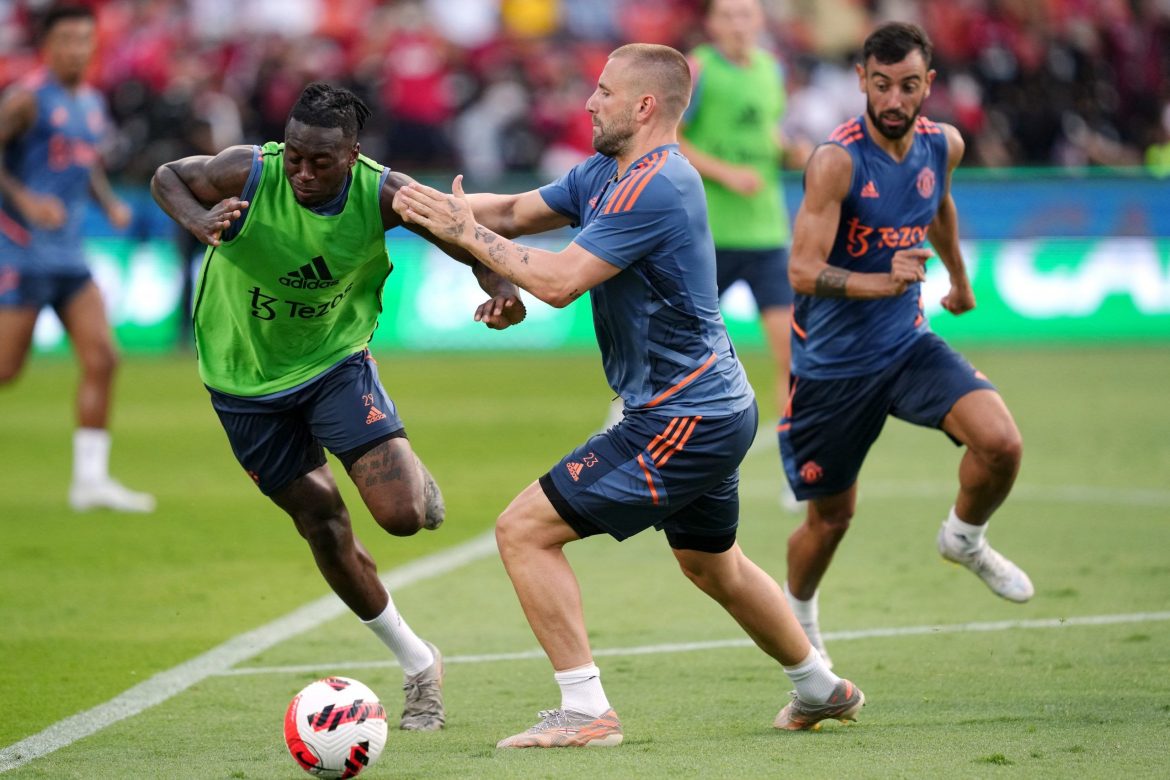 Leeds: Imagine Wan-Bissaka & Harrison